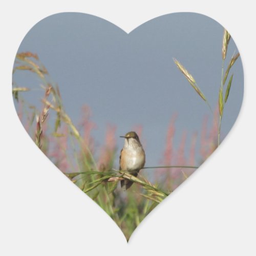 Fat little Hummingbird Heart Sticker