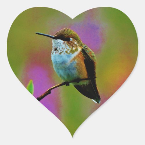 Fat little Hummingbird Heart Sticker