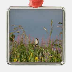 Fat little Hummingbird Metal Ornament
