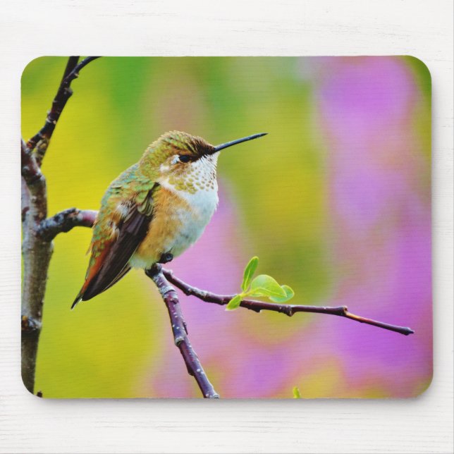 Fat little  Hummingbird Mouse Pad (Front)