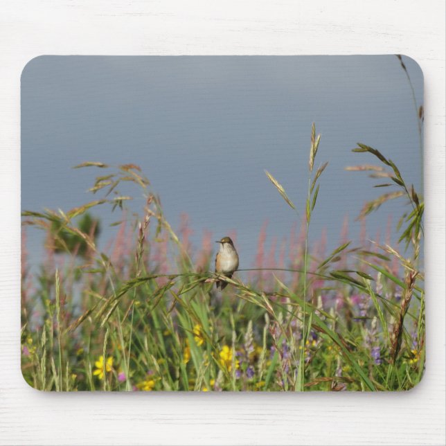 Fat little Hummingbird Mouse Pad (Front)