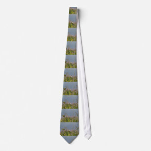 Fat little Hummingbird Neck Tie