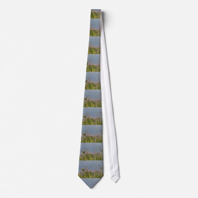 Fat little Hummingbird Neck Tie (Front)