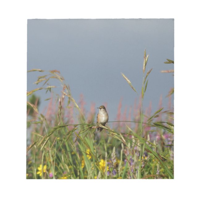 Fat little Hummingbird Notepad (Front)