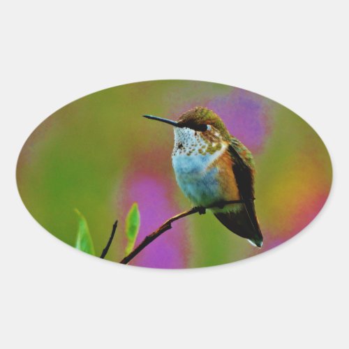 Fat little Hummingbird Oval Sticker