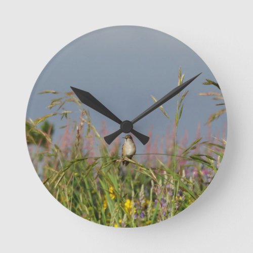 Fat little Hummingbird Round Clock