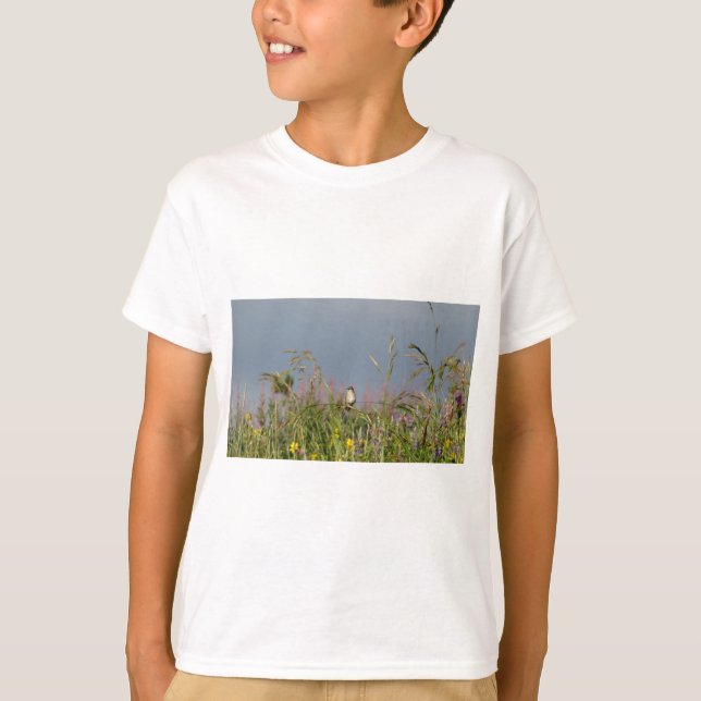 Fat little Hummingbird T-Shirt (Front)