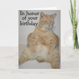 Fat Manx Cat Sitting Funny Birthday Card
