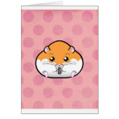 Fat Orange White Syrian Hamster (Front)