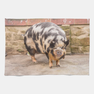 Fat pig kitchen towel