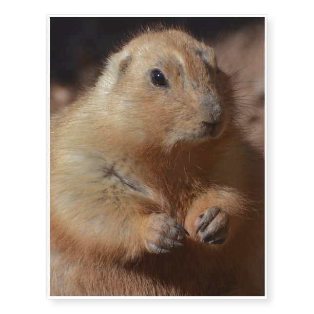 Fat Prairie Dog Temporary Tattoos (Front)