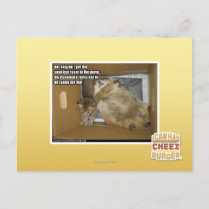 Fat roommate postcard