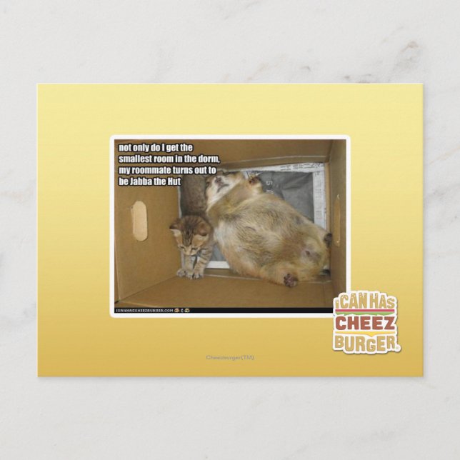 Fat roommate postcard (Front)