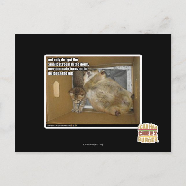 Fat roommate postcard (Front)