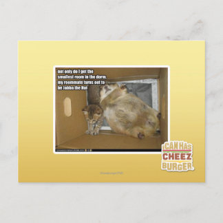 Fat roommate postcard