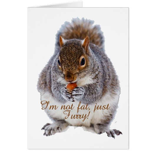 Fat Squirrel Cards (Front)