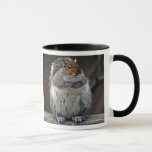 Fat Squirrel &quot;got Nuts?&quot; Mug at Zazzle