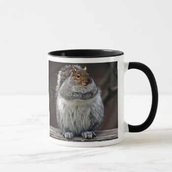 Fat Squirrel "got Nuts?" Mug by LoisBryan at Zazzle