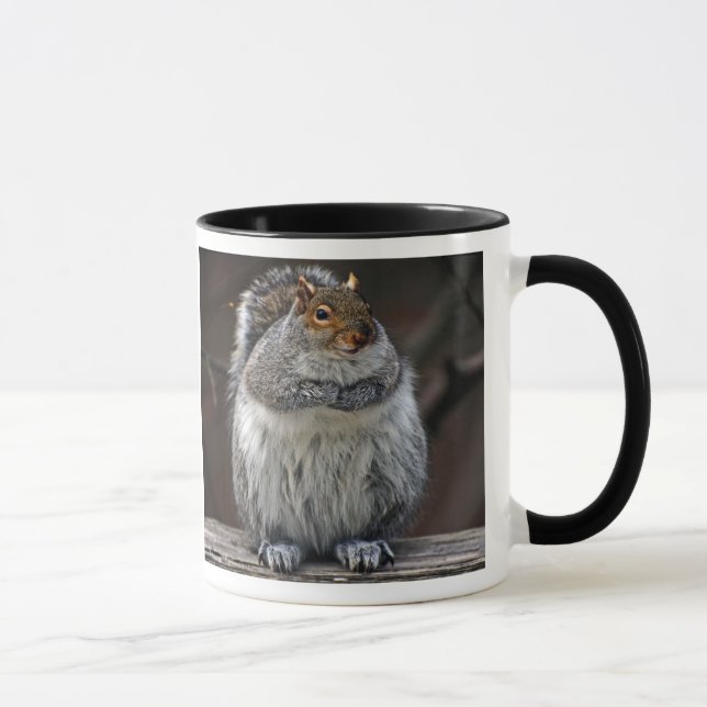Fat Squirrel "Got Nuts?" Mug (Right)
