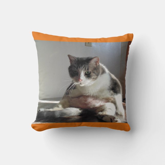 Fat Tabby Cat Photo on Pillow (Front)