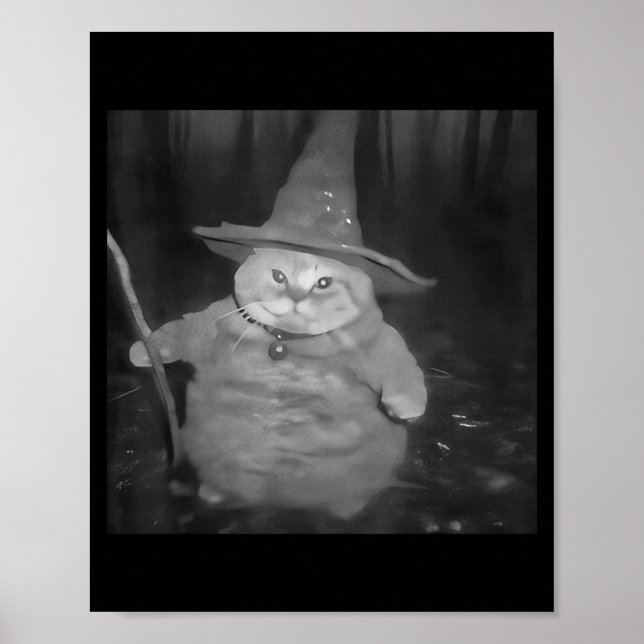 Fat Wizard Cat Fat Kitten Wizard Funny Cat Meme Br Poster (Front)
