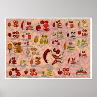 Fatalii's Split Chile Peppers! Poster