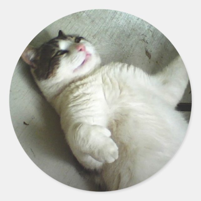 FATBOY LYING DOWN STICKERS (Front)