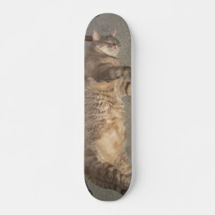 FatCat Board