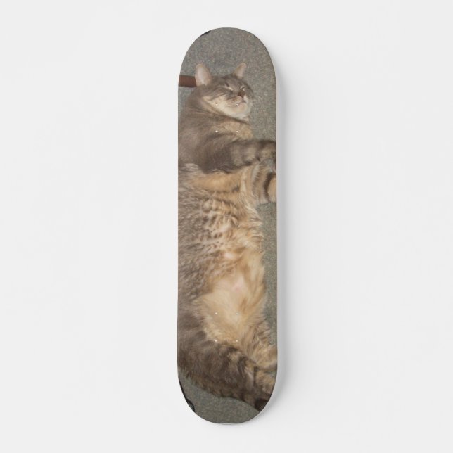 FatCat Board (Front)