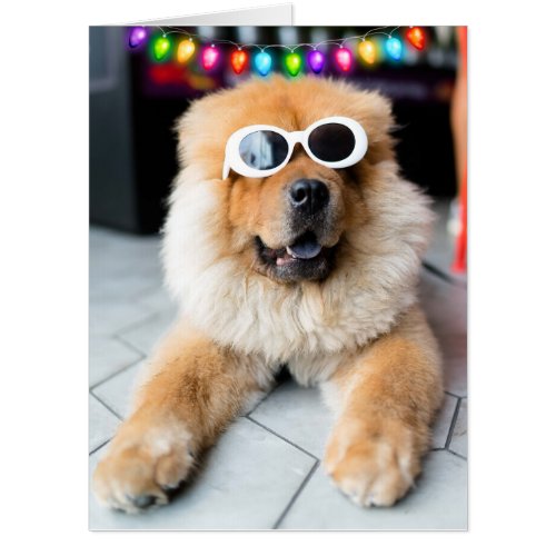 FATHERS AY DOG SUNGLASSES HUGE GIANT CARD