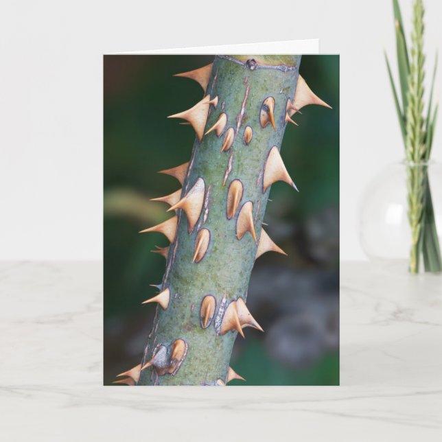 "Father's Day" Are You Ready? Card (Front)