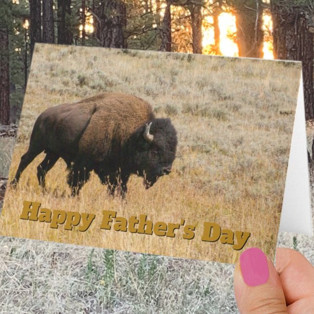Father's Day Bison In Prairie Grass Photo Template (Creator Uploaded)