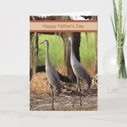 Fathers Day Card with Sandhill Cranes