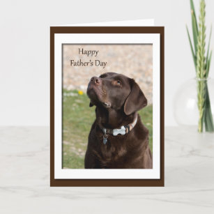 Fathers Day Labrador Cards Zazzle