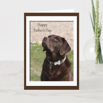 Father's Day Chocolate Brown Labrador Dog Card by stargiftshop at Zazzle