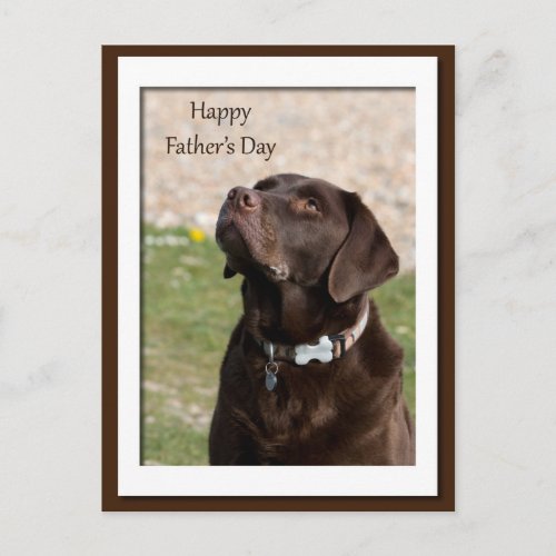 Fathers Day Chocolate Brown Labrador Dog Postcard