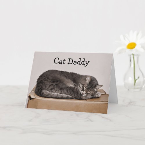 Fathers Day Cute Tabby Cat Daddy Card