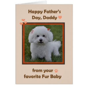 Fathers Day Daddy from Bichon with photo Frame Cards