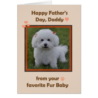Fathers Day Daddy from Bichon with photo Frame Cards