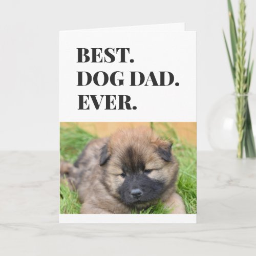 Fathers Day Dog Dad Best Ever Pet Photo Card