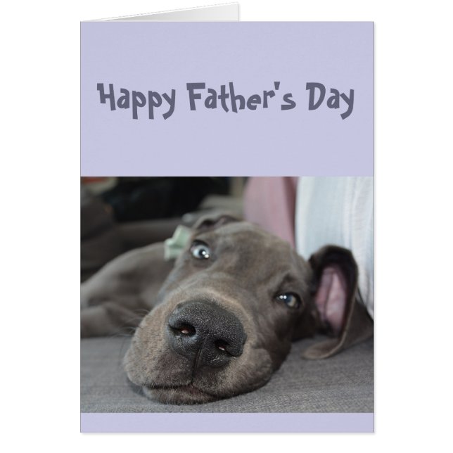 Father's Day Don't over do it Partying Take a Nap Cards (Front)