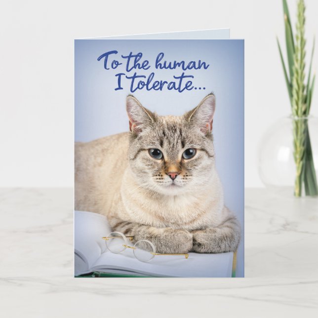 Father's Day From The Cat To The Human I Tolerate Card (Front)