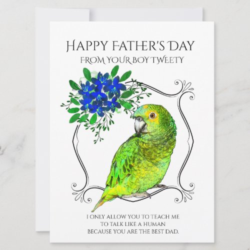 Fathers Day From The Parrot Bird On White Holiday