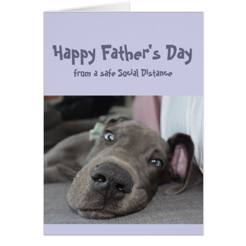 Fathers Day Fun Social Distancing Great Dane Dog