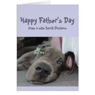 Father's Day Fun Social Distancing Great Dane Dog Cards
