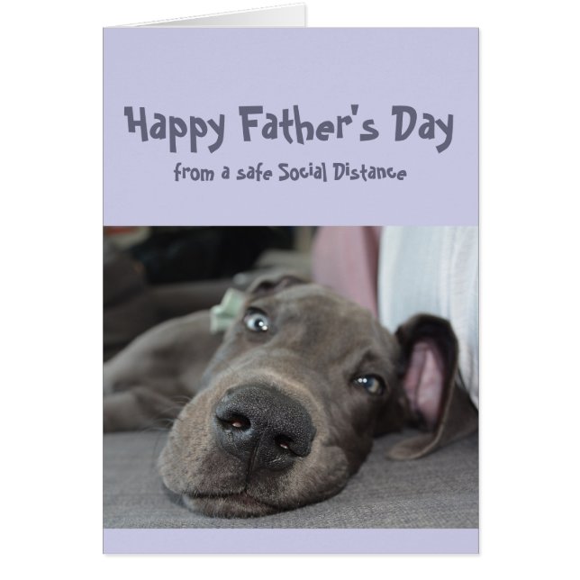 Father's Day Fun Social Distancing Great Dane Dog Cards (Front)