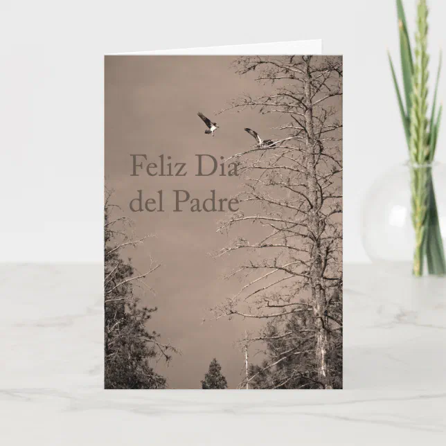 Father’s Day In Spanish Card | Zazzle
