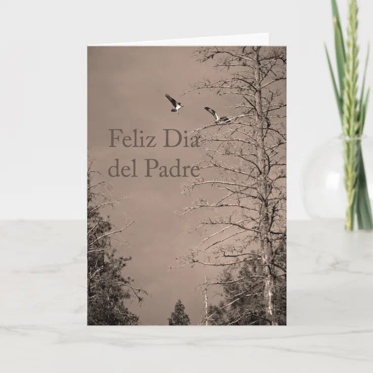 Father&rsquo;s Day In Spanish Card | Zazzle