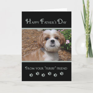 Father's Day - Photo Card From Furry Friends