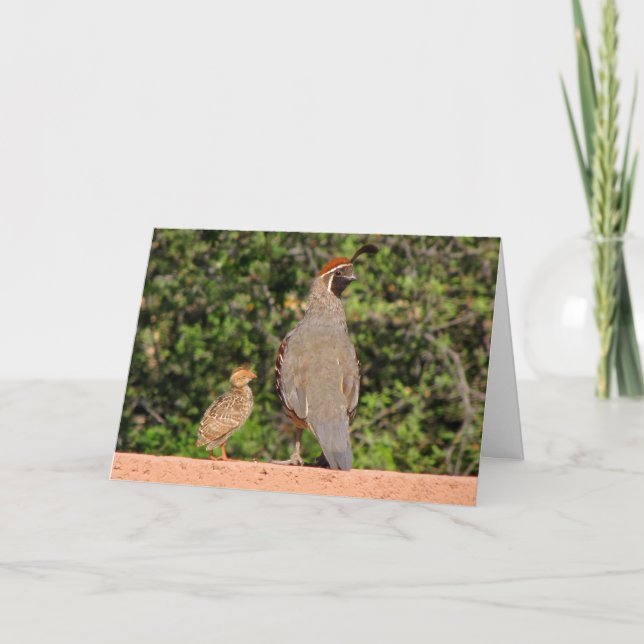Fathers Day Quail~ Kimberly P-Chadwick Card (Front)
